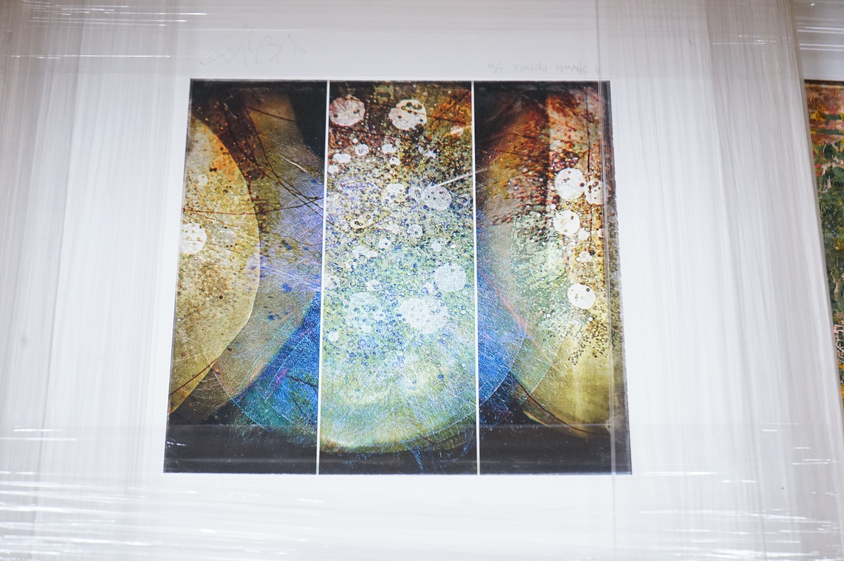Valda Bailey (Contemporary), Abstract compositions to include ‘New Shoots’, ‘Through a Greenhouse Darkly’ and ‘A Strange Absence’, each signed in pencil, some limited edition, five photographic prints, largest 39 x 49cm